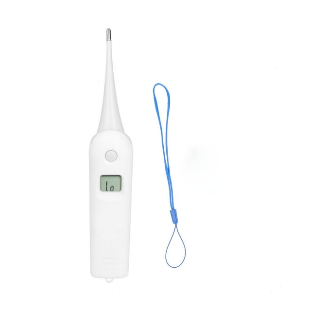 Animal Electronic Ehermometer Rectal Thermometer Temperature Measure