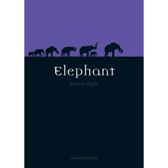 Animal: Elephant (Paperback)