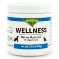 Animal Essentials Wellness Maitake DHF10 Mushroom Supplement for Dogs