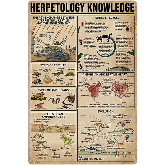 Animal Footprint Knowledge Metal Tin Sign Hunting Chart Poster Farm Outdoor School Club Wall Decoration Plaque 12x18 Inches