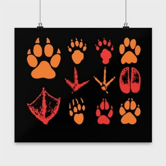 Animal Footprints Wall Art - Nature Lovers - 13x13 Poster Print - Home Decor
