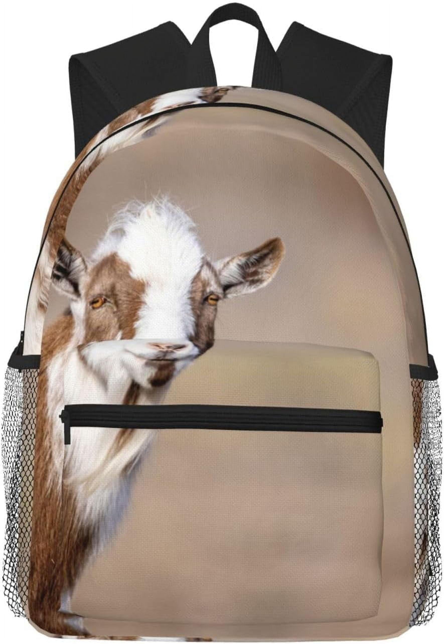 16% Goat Feed 40 lb Bag | Goat Feed | Healthy Harvest – Healthy Harvest Feed