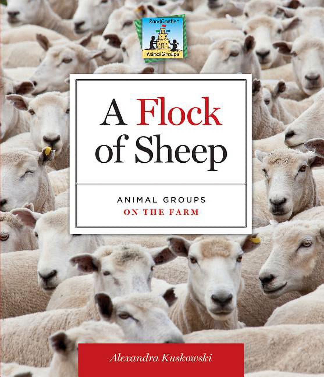 Animal Groups: Flock of Sheep: Animal Groups on the Farm : Animal Groups on the Farm (Hardcover) - image 1 of 1