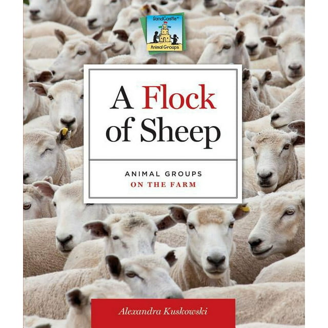 Animal Groups: Flock of Sheep: Animal Groups on the Farm : Animal Groups on the Farm (Hardcover)