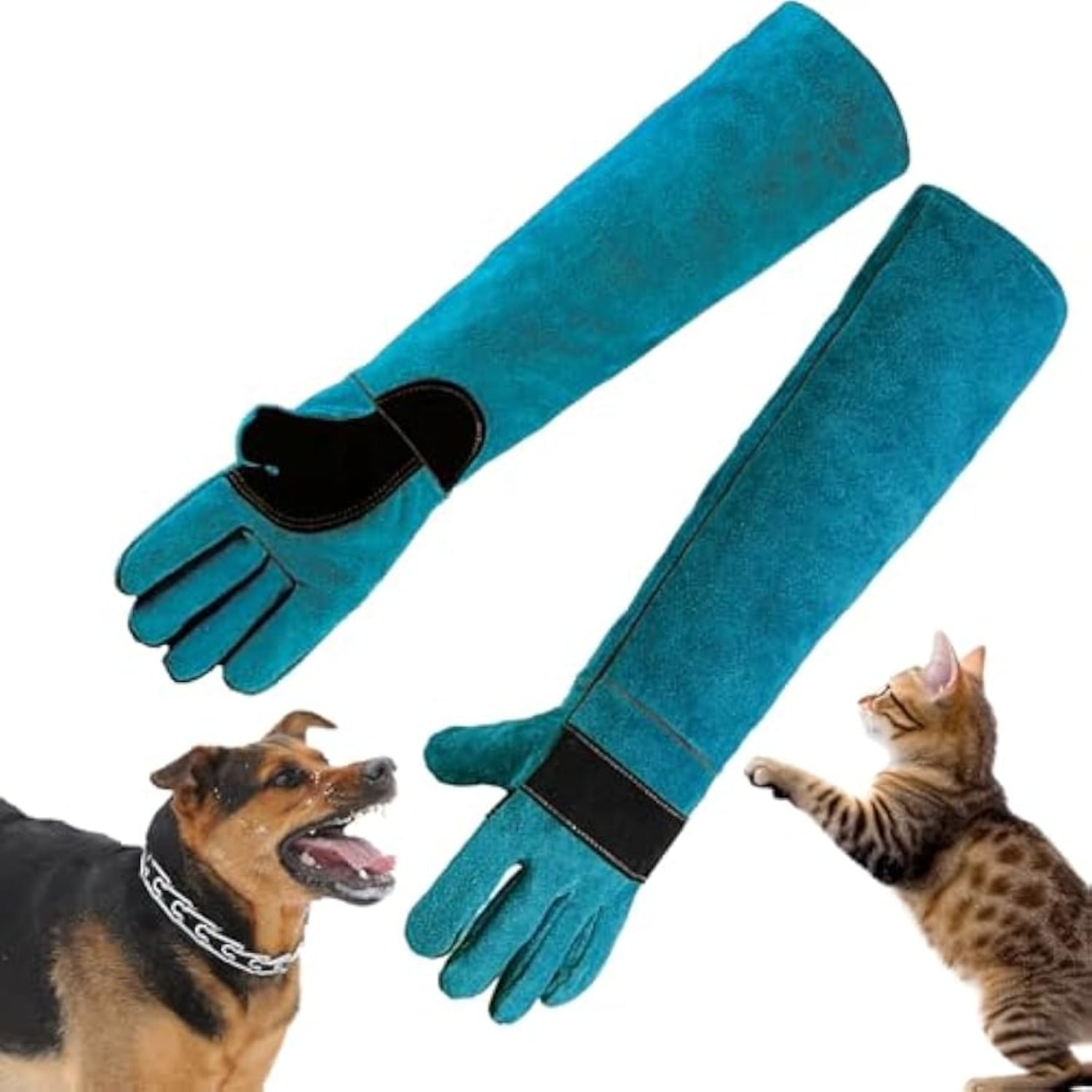 12 Snake Handling Tools | We Reviewed Them All (2022 12 Snake Handling Tools | We Reviewed Them All (2022