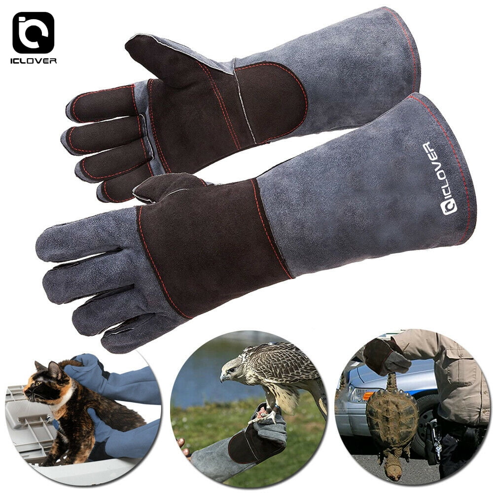 Animal Handling Gloves Bite Proof,iClover Best Bite Resistant Gloves to  Prevent Animal Bites - Ideal Bite Proof Gloves For Training Cats, Dogs,  Birds and Reptiles 