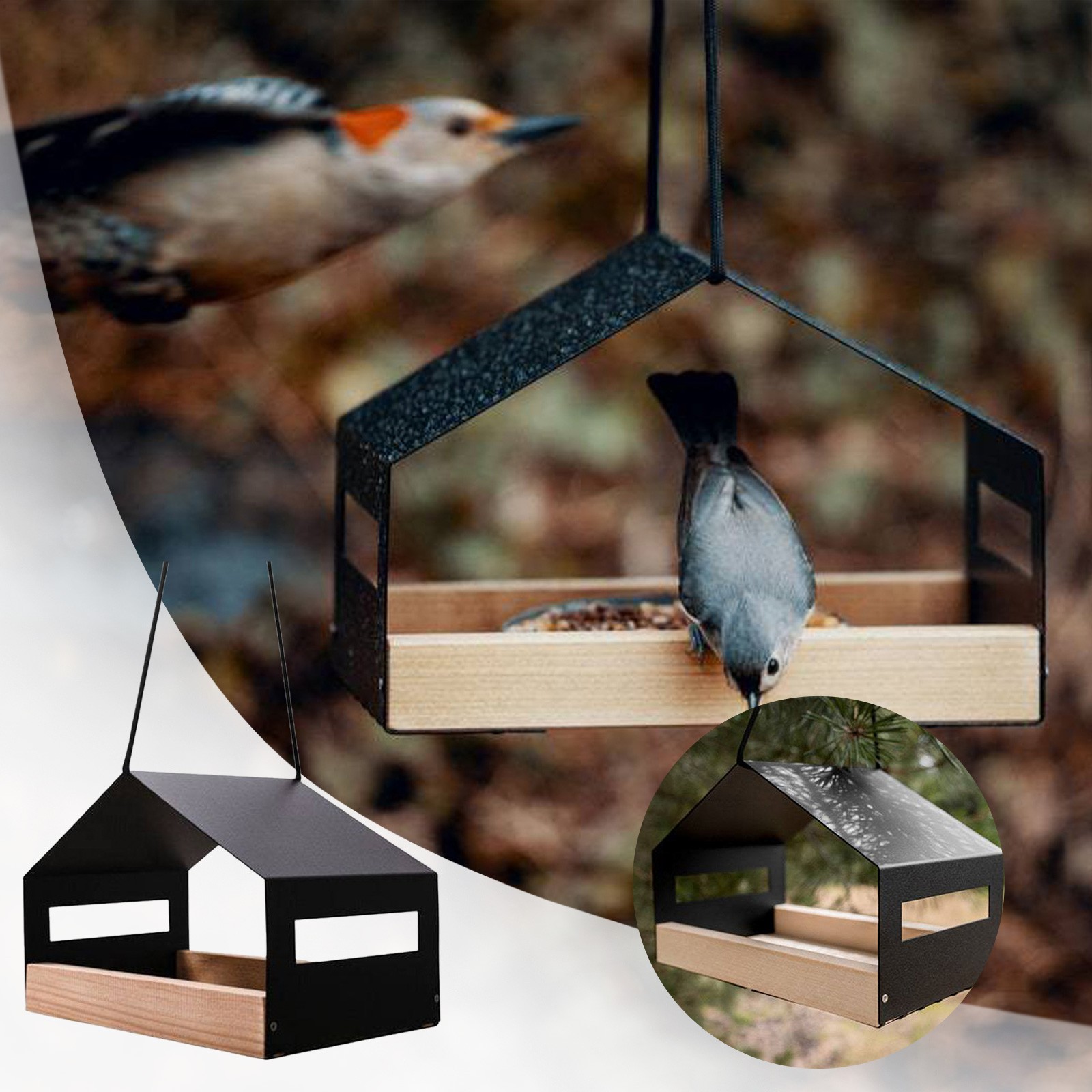 Animal Head Squirrel Feeder Birdhouse for Window Cylinder Feeder Proof