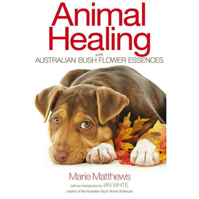 Animal Healing with Australian Bush Flower Essences (Paperback)