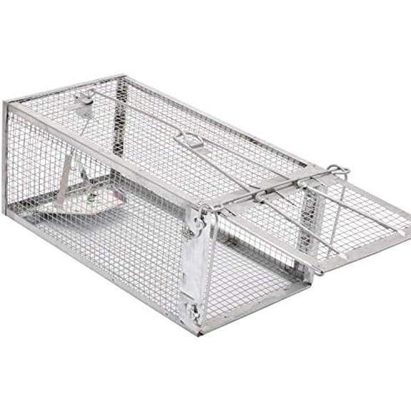 Animal Humane Live Cage Trap That Work for Rat Mouse Chipmunk Mice Voles Hamsters and Other Small Rodents, Trampa para Ratones, Catch and Release 1Pack Medium 12" L x 6.5" W x 5" H