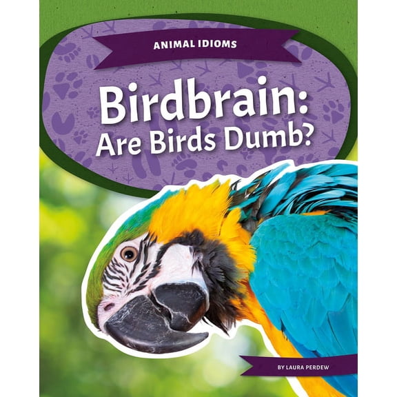 Animal Idioms Birdbrain: Are Birds Dumb?: Are Birds Dumb?, (Hardcover)