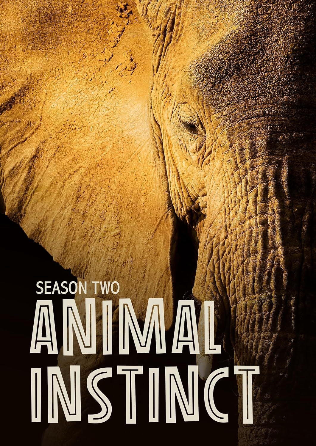 Animal Instinct: Season 2 (DVD), Dreamscape, Drama