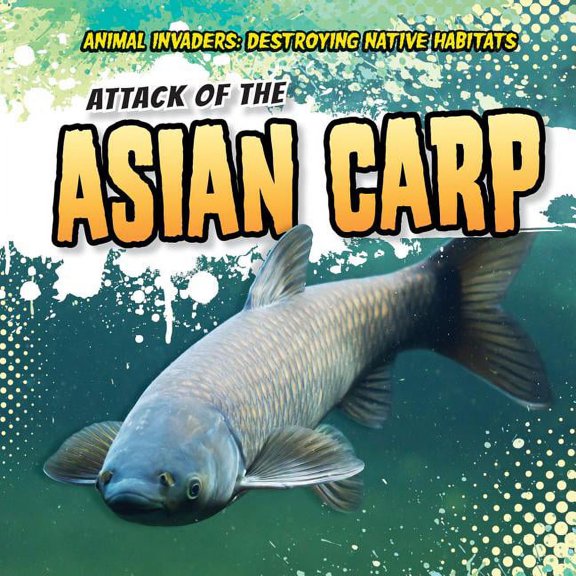 Animal Invaders: Destroying Native Habitats: Attack of the Asian Carp (Paperback)