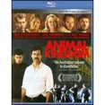 thumbnail image 1 of Pre-Owned Animal Kingdom [Blu-ray] (Blu-Ray 0043396368927) directed by David Mich√¥d, 1 of 1