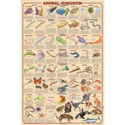 Animal Kingdom Educational Poster 24.5x36.5 - Laminated