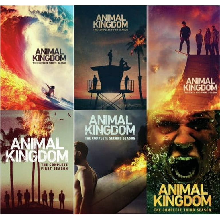 Kingdom Season Series Similar To Animal Kingdom Animal Kingdom