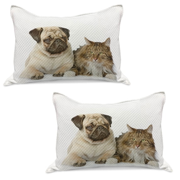 Animal Knitted Quilt Pillowcover Set of 2, Fluffy Playful Pets Sitting next to Each Other Studio Shot Photo on Plain Backdrop, Standard Queen Pillow Sham Bedroom, 30" x 20", Brown Beige, by Ambesonne