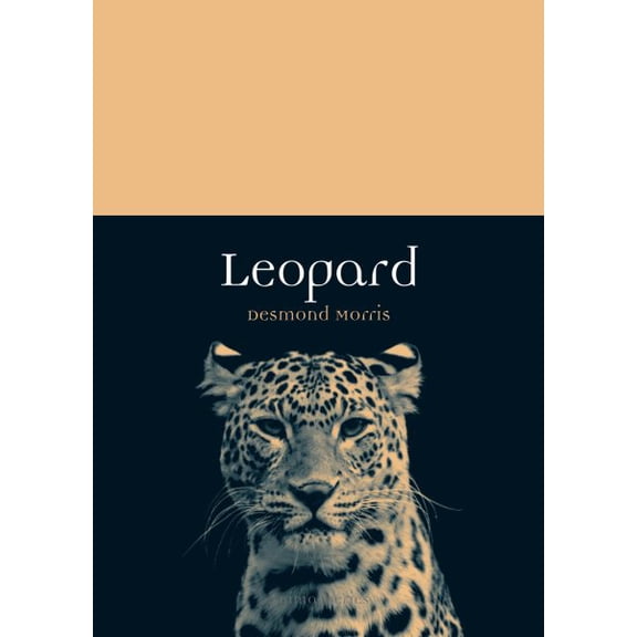 Animal: Leopard (Paperback)