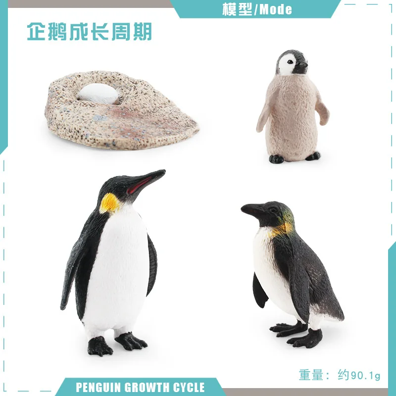 Animal Life Cycle Board Children Toys Montessori Teaching Aids Plant ...