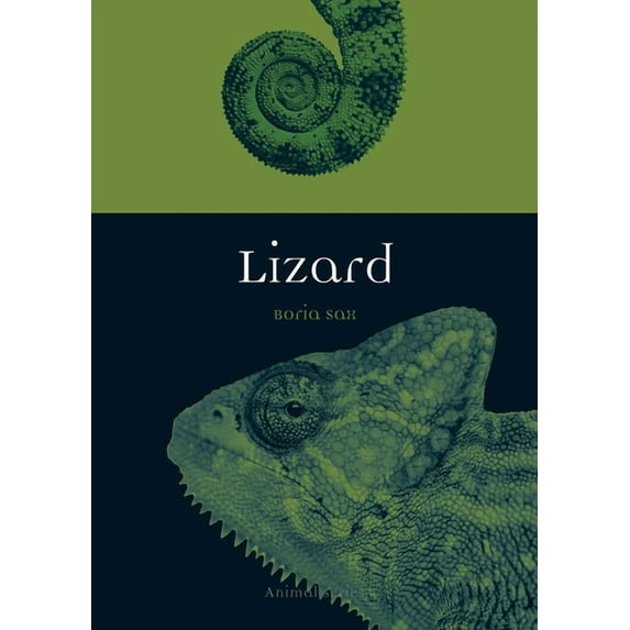 Animal: Lizard (Paperback)
