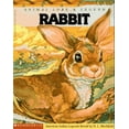 thumbnail image 1 of Pre-Owned Animal Lore & Legend: Rabbit (American Indian Legends) (Paperback) 0590224905 9780590224901, 1 of 1