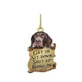 Animal Lover Two Sided Ornament,Funny Car Hanging Christmas Porch