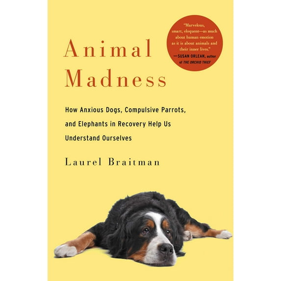 Animal Madness : How Anxious Dogs, Compulsive Parrots, and Elephants in Recovery Help Us Understand Ourselves (Hardcover)