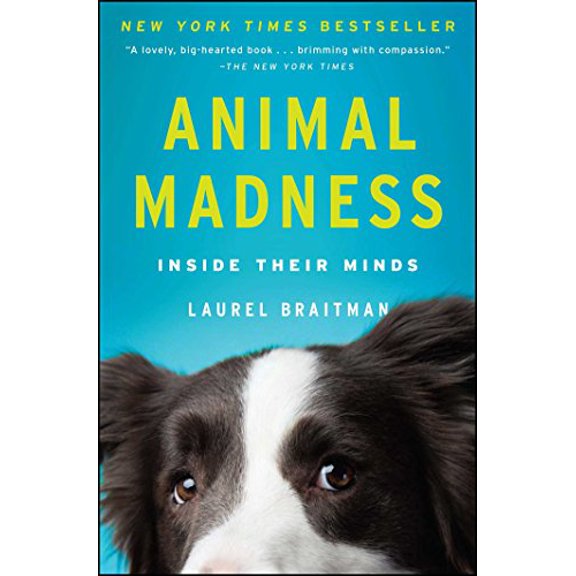 Pre-Owned Animal Madness: Inside Their Minds (Paperback) 1451627017 9781451627015