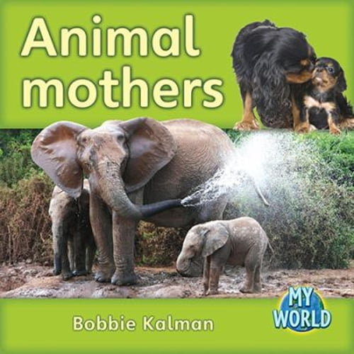 Pre-Owned Animal Mothers (Paperback) 0778795802 9780778795803