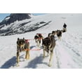 thumbnail image 1 of Bookmark Trenz Animal - Motion Postcard, 1 of 2