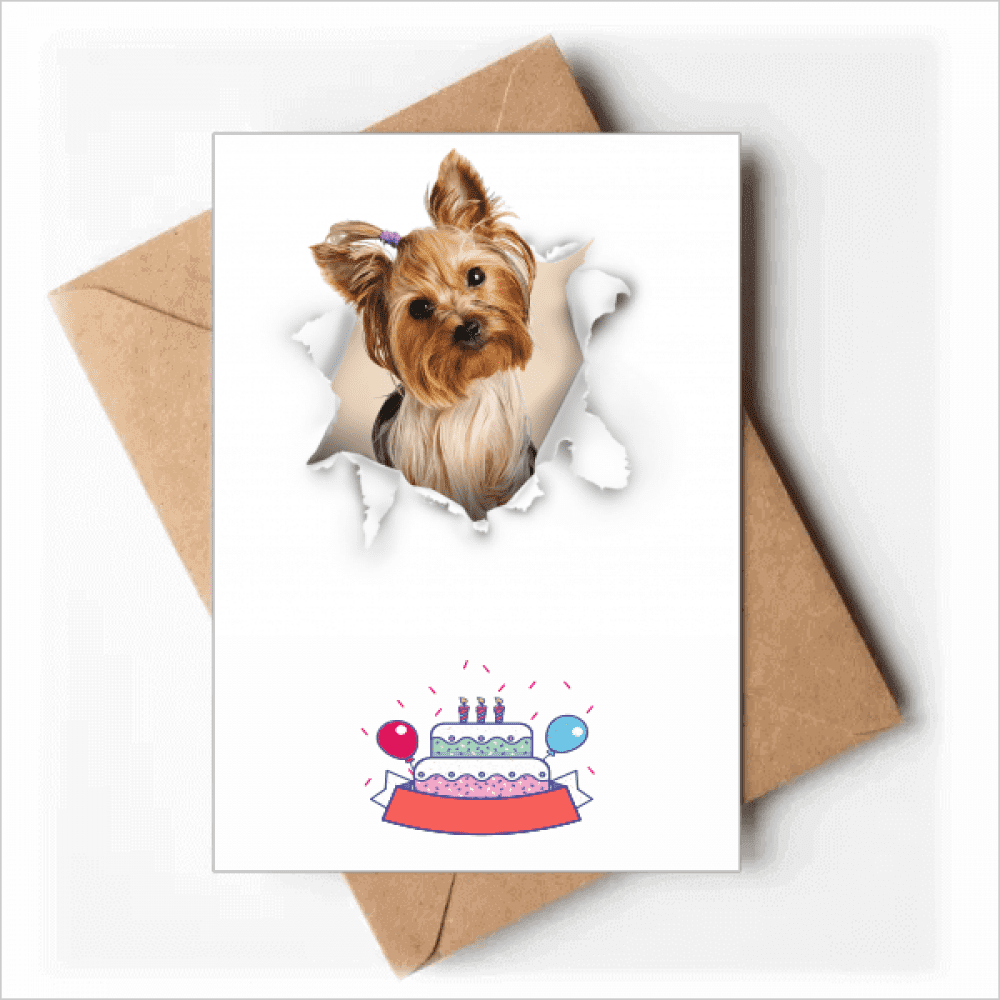 Animal Paper Break Shocks Chihuahua Happy Birthday Greeting Cards Envelopes Blank