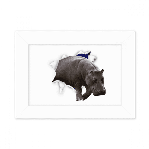 Animal Paper Break Shocks Hippos Photo Mount Frame Picture Art Painting Desktop 5x7 inch
