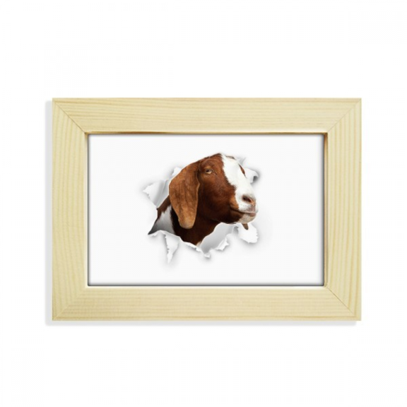 Animal Paper Breaking Shock Expressions Desktop Decorate Photo Frame Picture Art Painting 5x7 inch