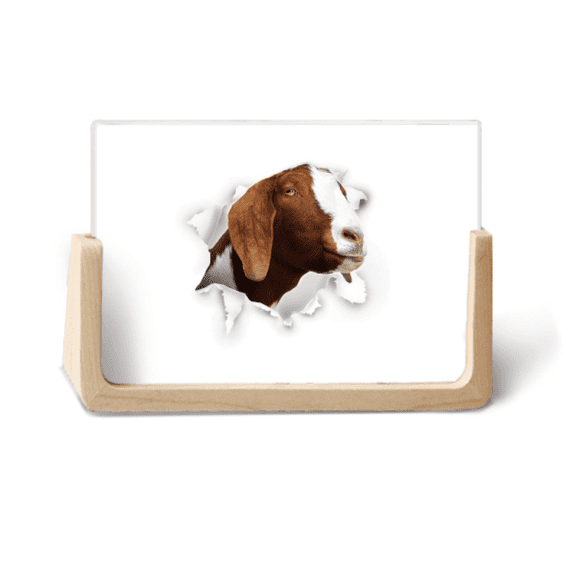 Animal Paper Breaking Shock Expressions Photo Wooden Photo Frame Tabletop Display