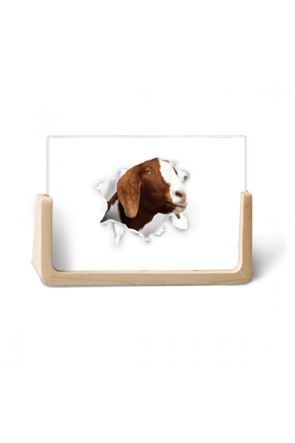 Animal Paper Breaking Shock Expressions Photo Wooden Photo Frame Tabletop Display