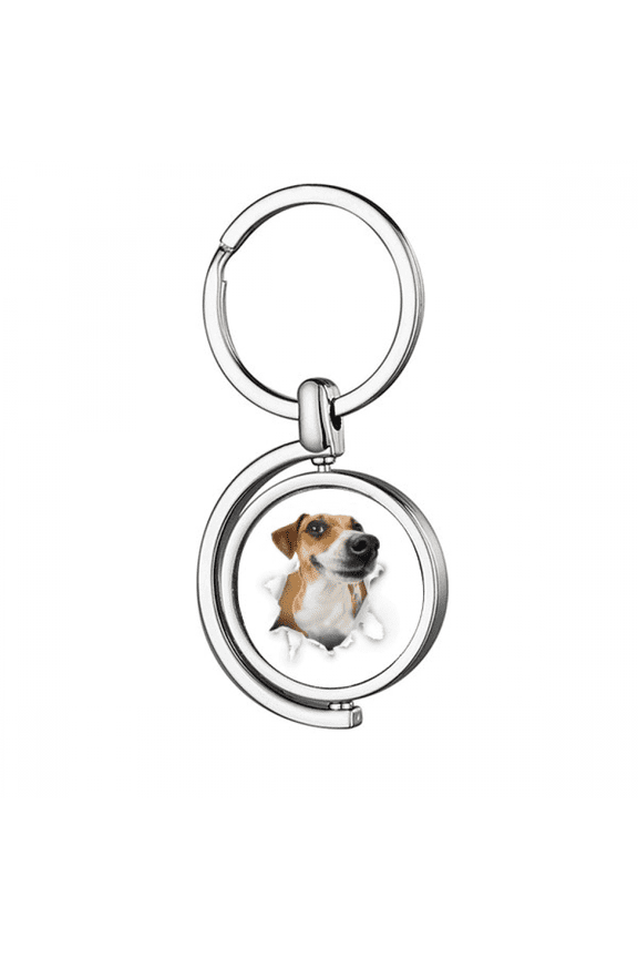 Animal Paper Breaking Shock Pride Rotating Keychain Metal Keyring Holder