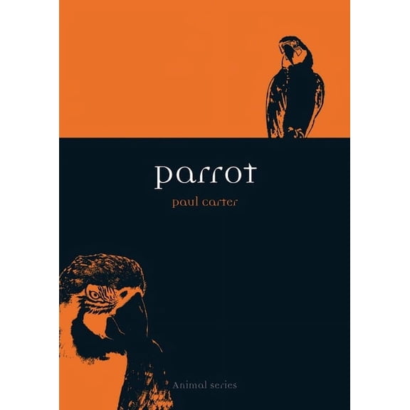 Animal: Parrot (Paperback)