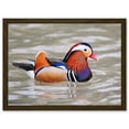 thumbnail image 1 of Animal Photo Bird Male Mandarin Duck Artwork Framed Wall Art Print A4, 1 of 4
