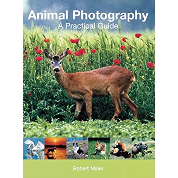 Pre-Owned Animal Photography: A Practical Guide (Hardcover) 1861083033 9781861083036