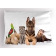 thumbnail image 1 of Animal Pillow Sham, Sweet Photo with Bunnies Cat Dog and Ferret Cute Lovely Pets on Plain Background, Decorative Standard King Size Printed Pillowcase, 36" X 20", Multicolor, by Ambesonne, 1 of 2