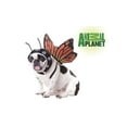 thumbnail image 1 of Animal Planet- Butterfly Dog Costume, 1 of 2