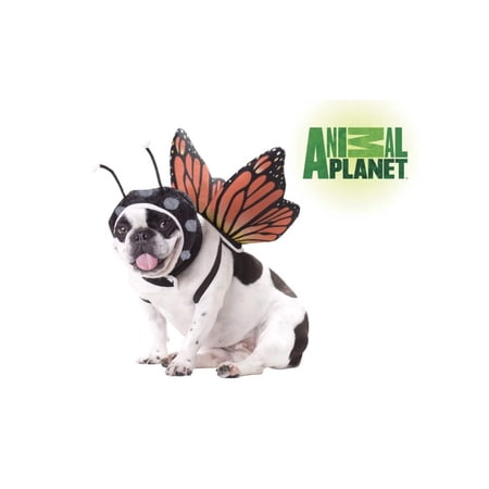 Animal Planet- Butterfly Dog Costume