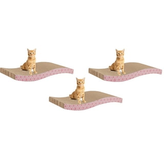 Animal Planet Cats in Pets Walmart