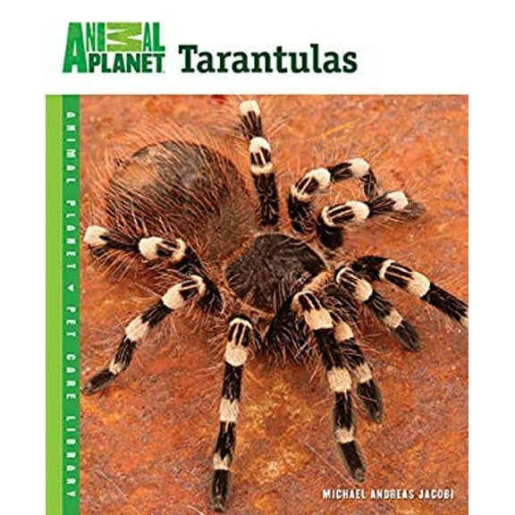 Pre-Owned Tarantulas (Paperback) 0793837103 9780793837106