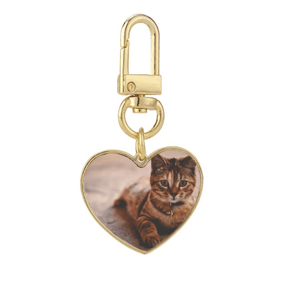 Animal Quiet Cat Photograph Gold Heart Keychain Metal Keyring Holder