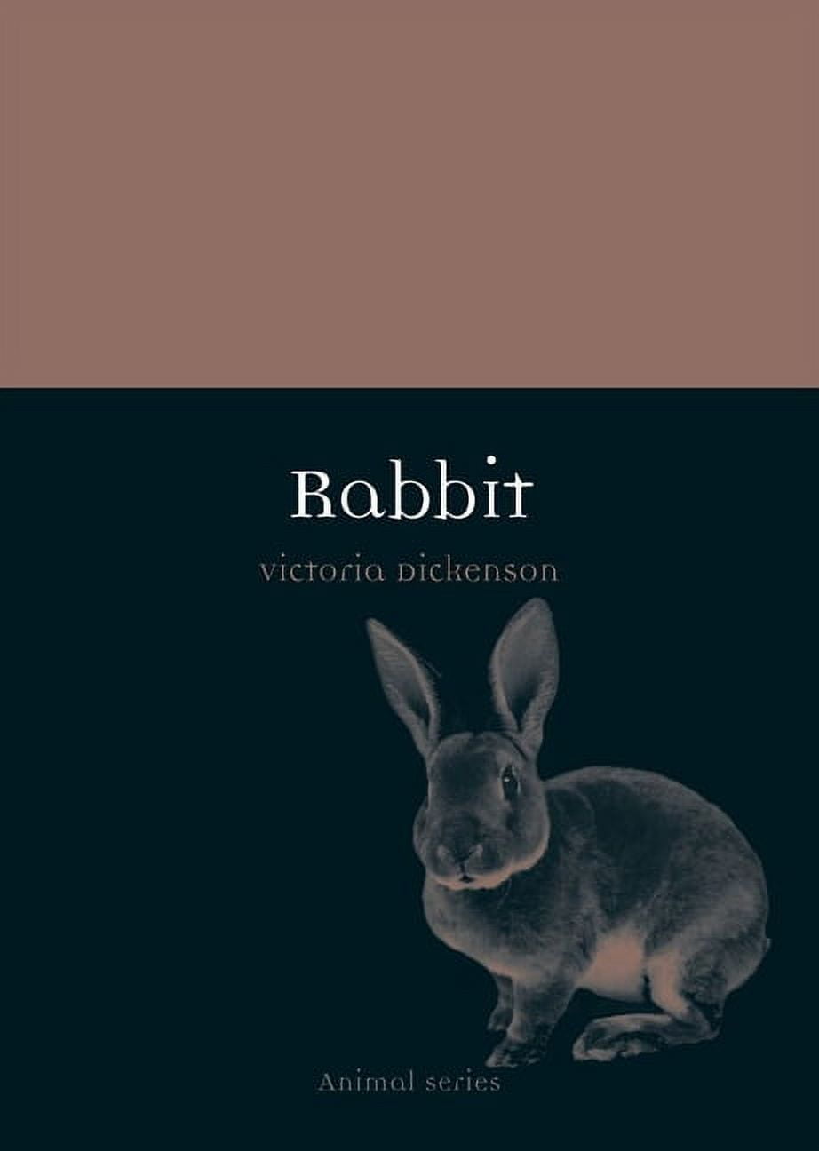 Animal: Rabbit (Paperback)