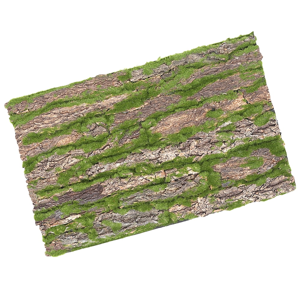 Animal Reptile Bark Living Toom Decore Terrarium Bark Background Cork