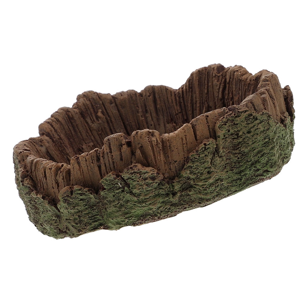 Animal Reptile Rock Food Dish Turtle Water Bowl Take Bath Lizard