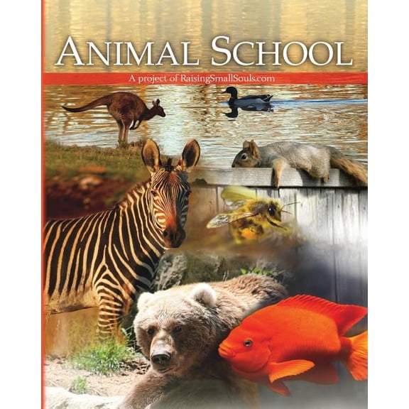 Animal School Paperback Melody Spier