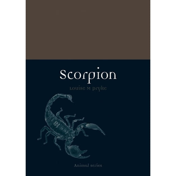 Animal: Scorpion (Paperback)