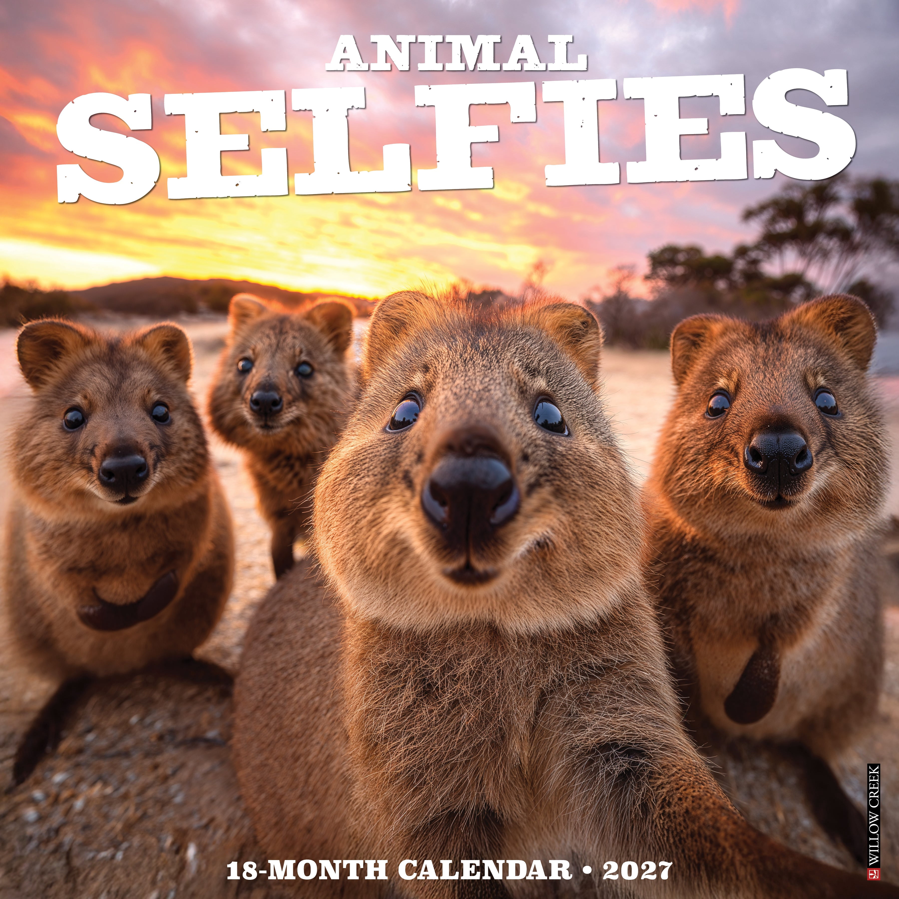 Willow Creek Press, Animal Selfies 2027 Wall Calendar